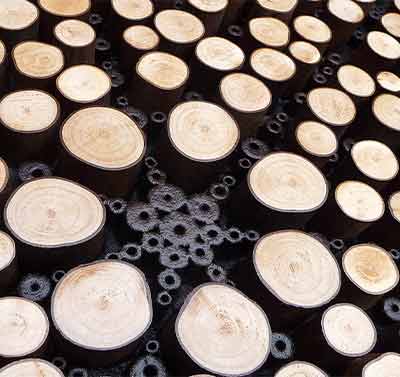 ars nova "light/shadow" performance promotional image of art made of slices of wood